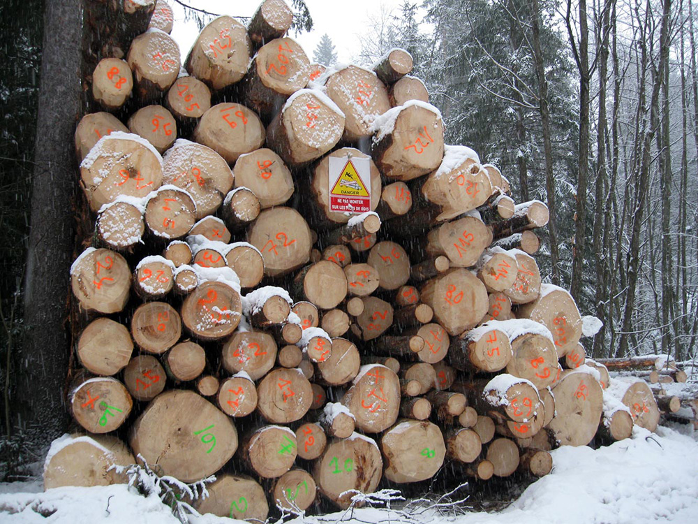 Dumas Frères Travaux de montagne Haute-Savoie 74