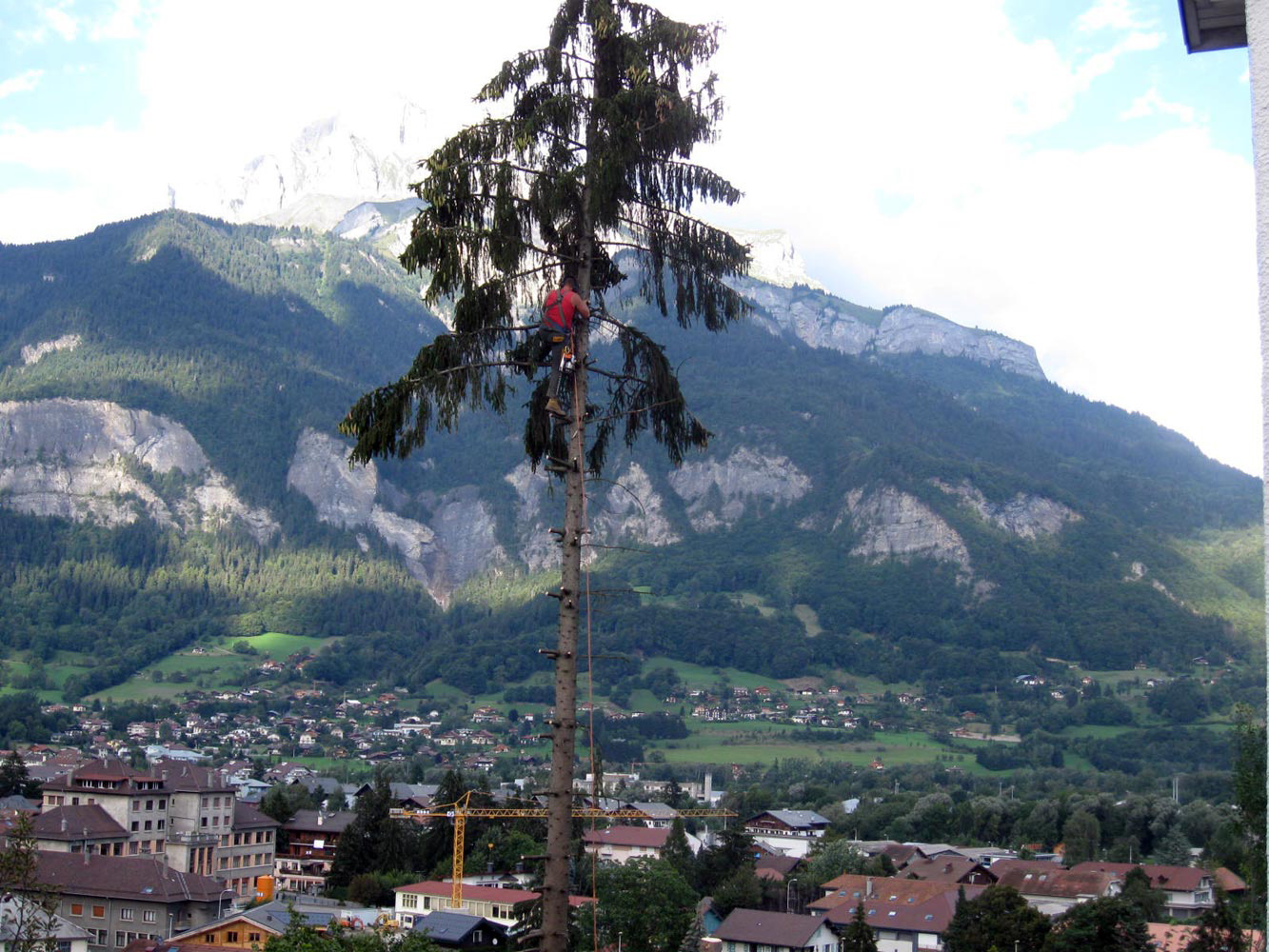 Travaux forestiers élagege Haute Savoie 74
