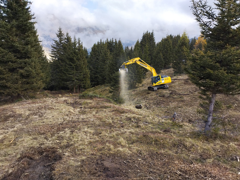 Travaux forestiers Sallanches 74