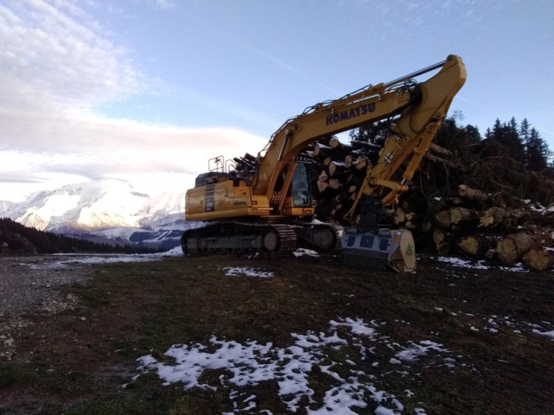 Travaux forestiers Sallanches 74
