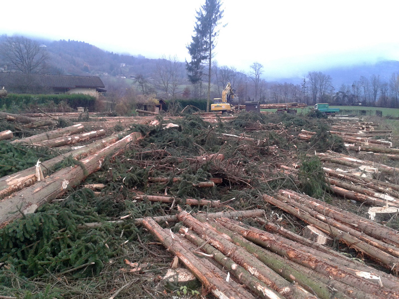 Travaux forestiers en Savoie 73